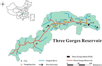 Spatial dynamics of dissolved organic matter among different segments of a large-scale reservoir in the water-level declining period